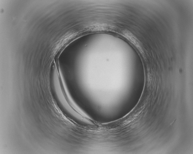 X0000059040485200510281546