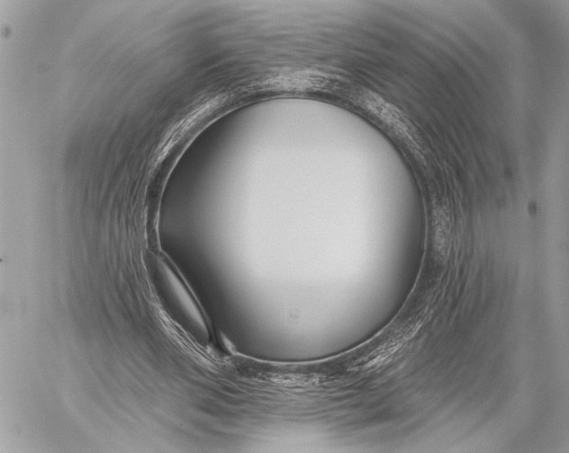 X0000059040486200510281546