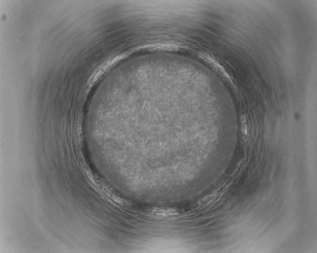 X0000059040487200510281546