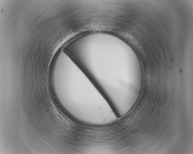 X0000059040488200510281546