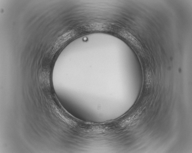 X0000059040489200510281546