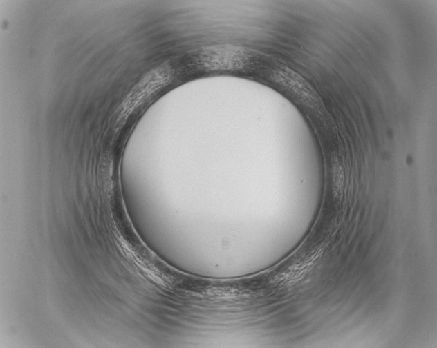 X0000059040490200510281546