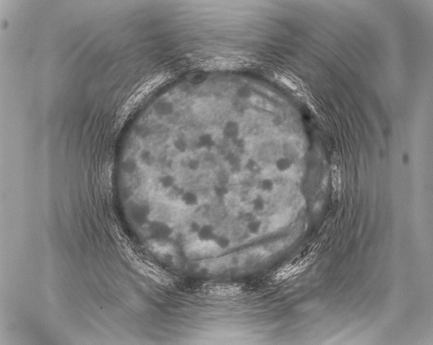 X0000059040491200510281546