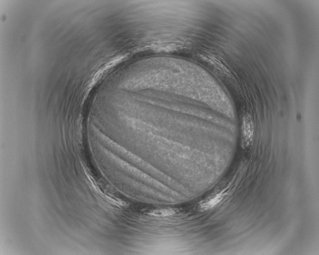 X0000059040492200510281546