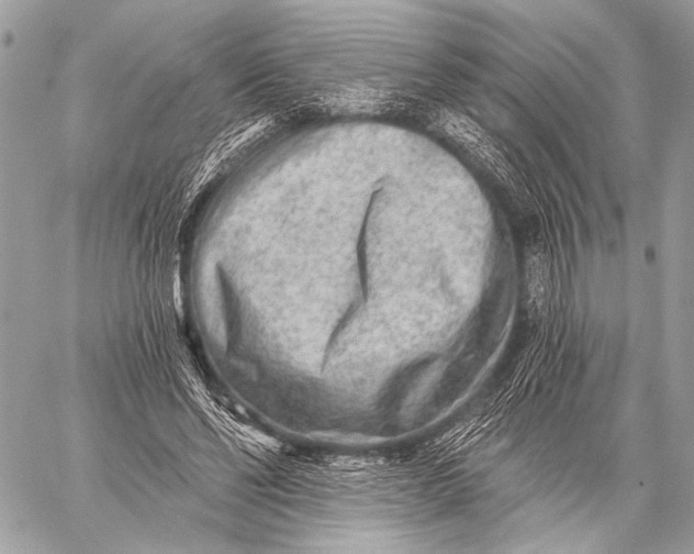 X0000059040494200510281546