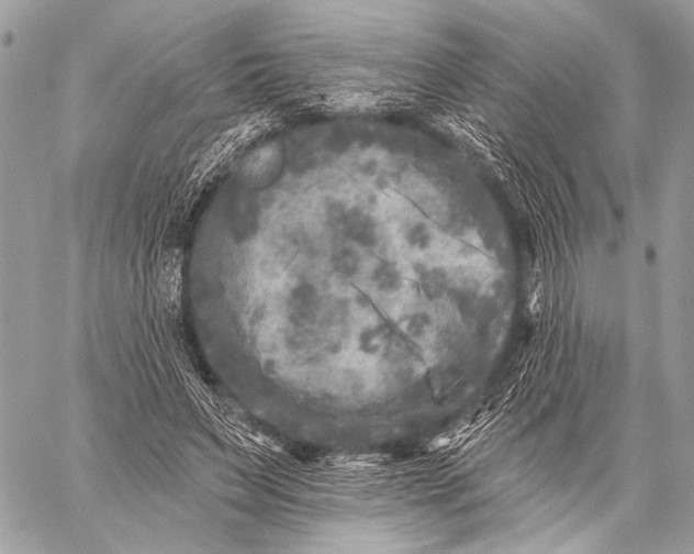 X0000059040495200510281546