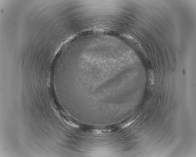 X0000059040496200510281546