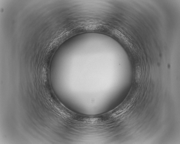 X0000059040497200510281546