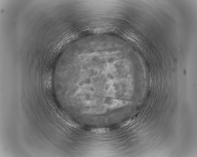 X0000059040499200510281546