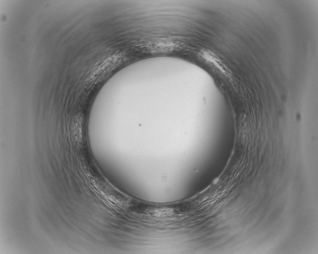 X0000059040501200510281546