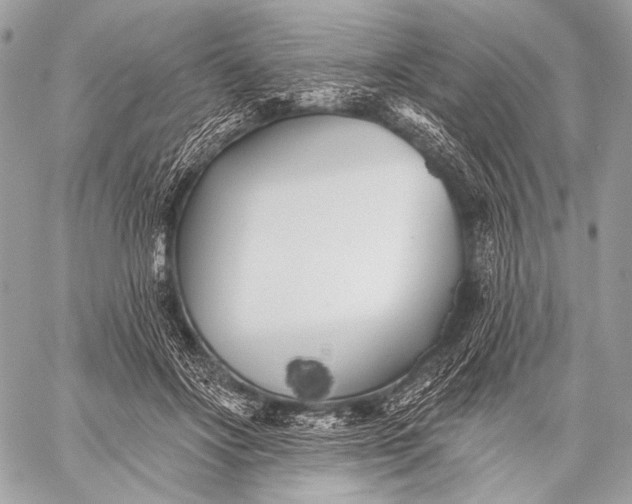 X0000059040502200510281546