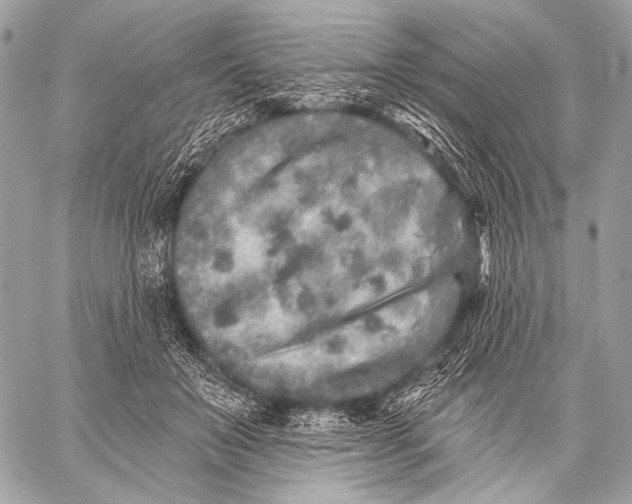 X0000059040503200510281545