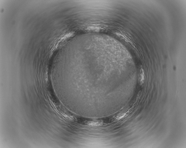 X0000059040504200510281545