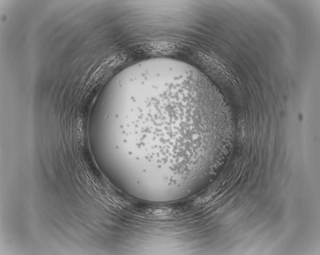 X0000059040506200510281545