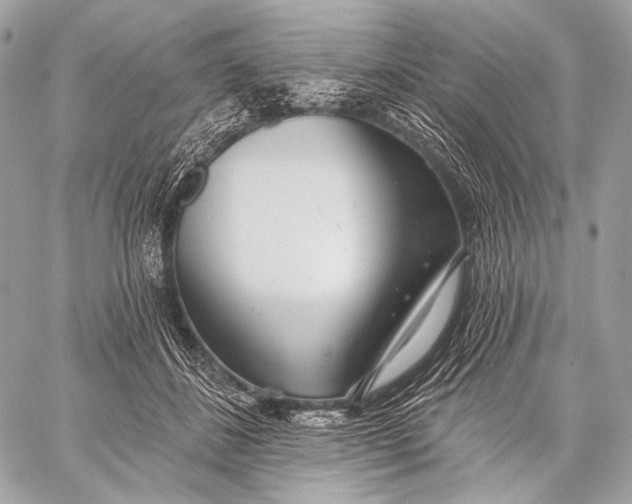 X0000059040508200510281545