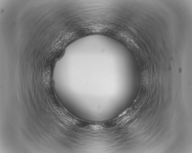 X0000059040509200510281545