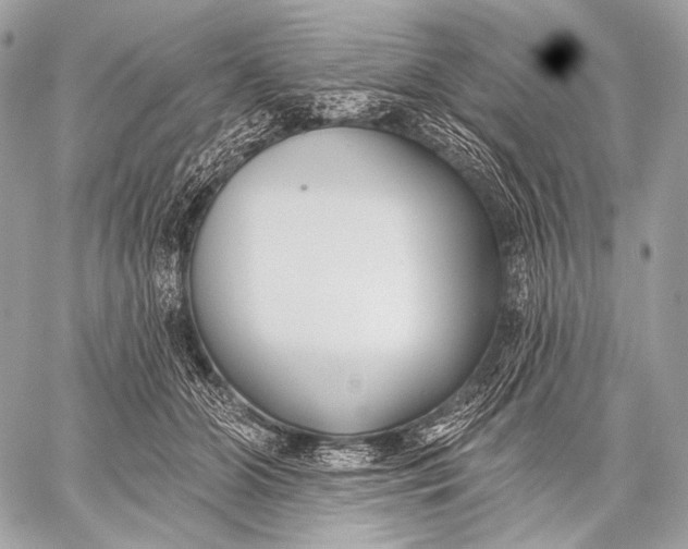 X0000059040510200510281545