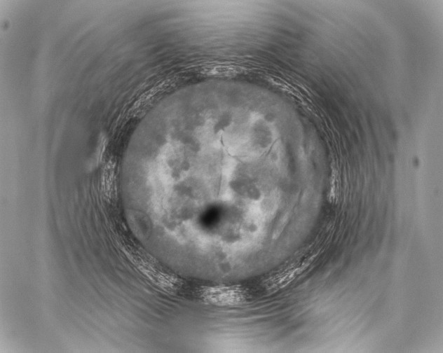 X0000059040511200510281545