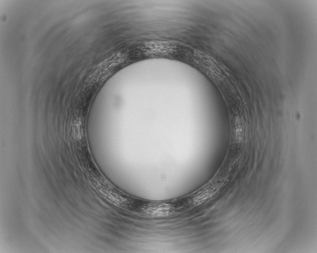 X0000059040514200510281545