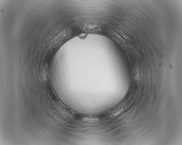 X0000059040515200510281545