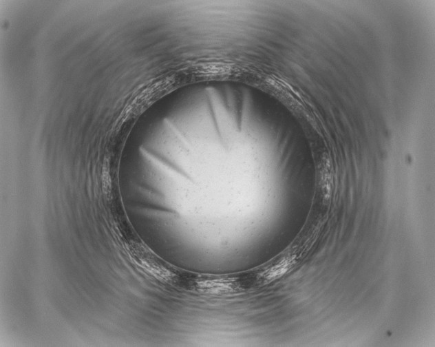 X0000059040516200510281545