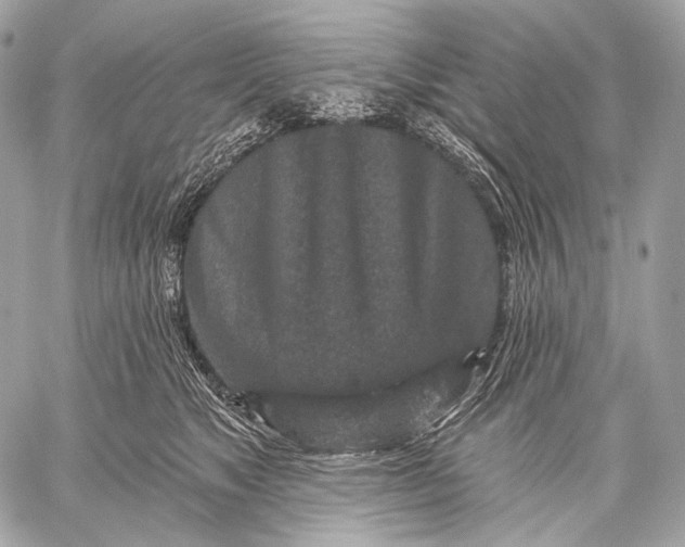 X0000059040517200510281545