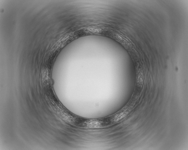 X0000059040518200510281545