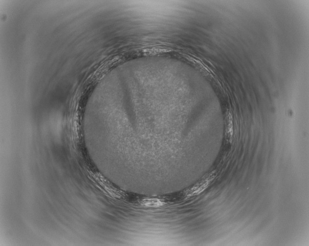 X0000059040519200510281545