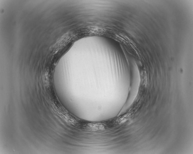 X0000059040520200510281545