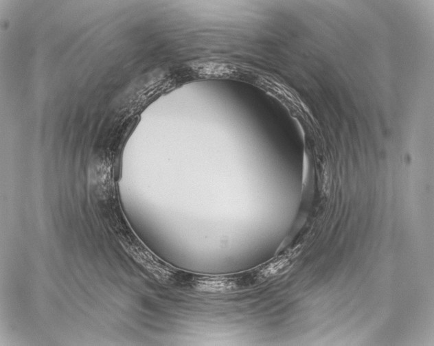 X0000059040521200510281545