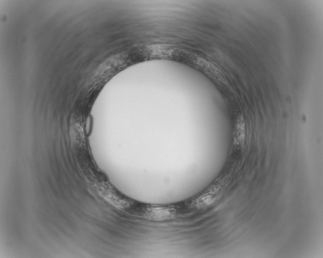 X0000059040522200510281545