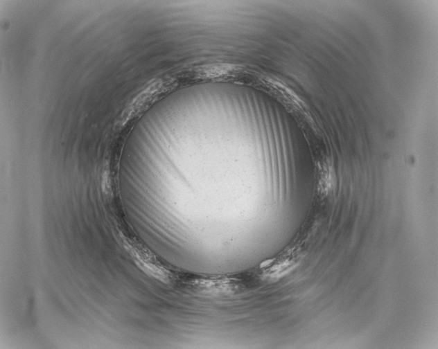 X0000059040524200510281545