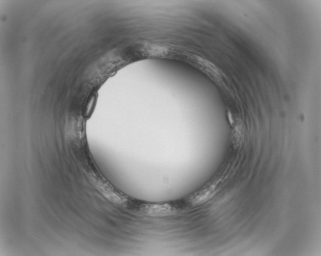 X0000059040525200510281545