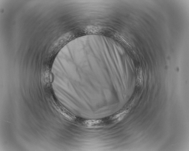 X0000059040526200510281545