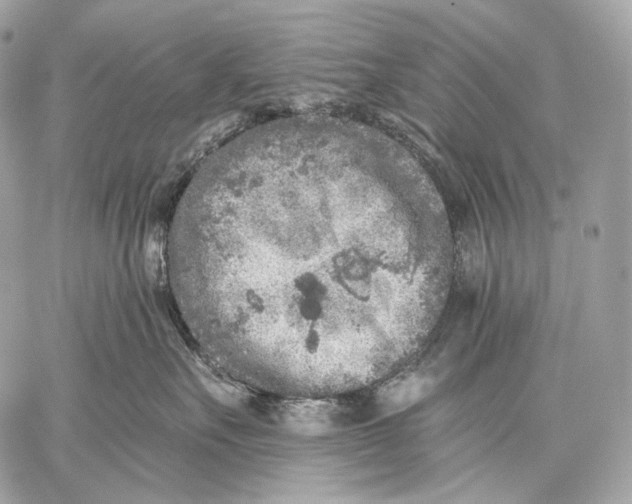 X0000059040527200510281545