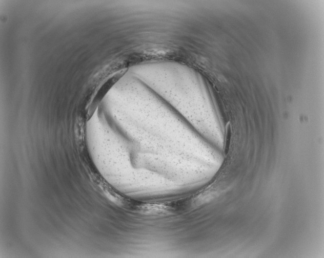 X0000059040528200510281545