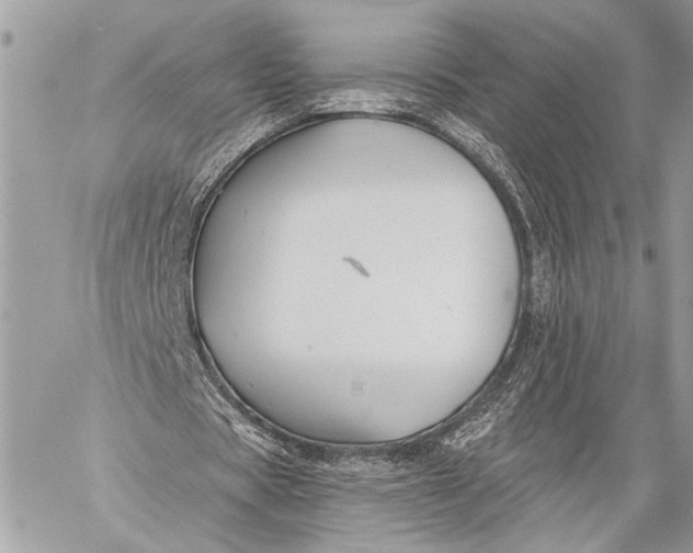 X0000059040529200510281544