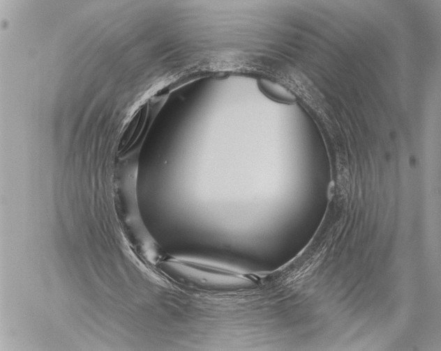 X0000059040530200510281544