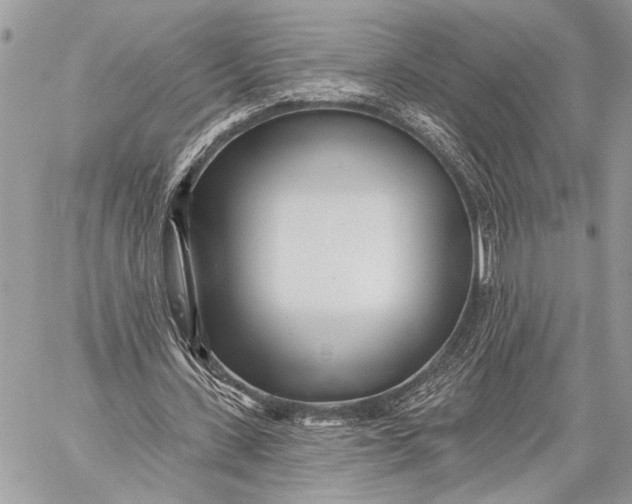 X0000059040531200510281544