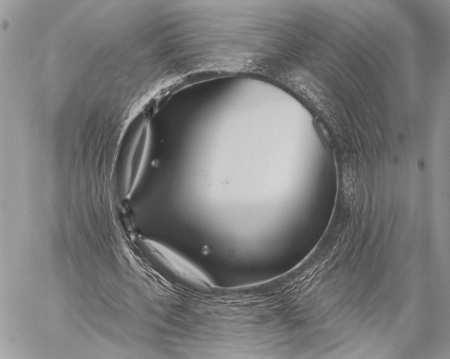 X0000059040532200510281544