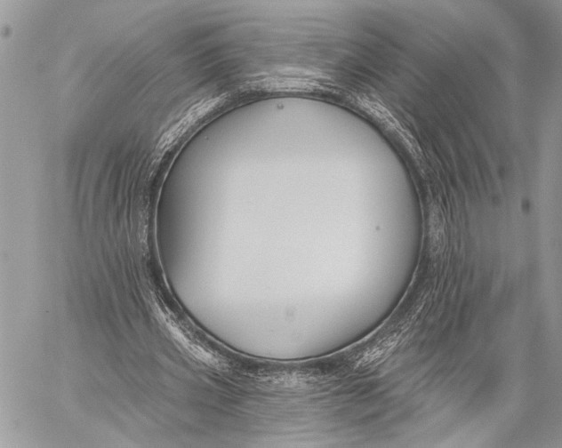 X0000059040533200510281544