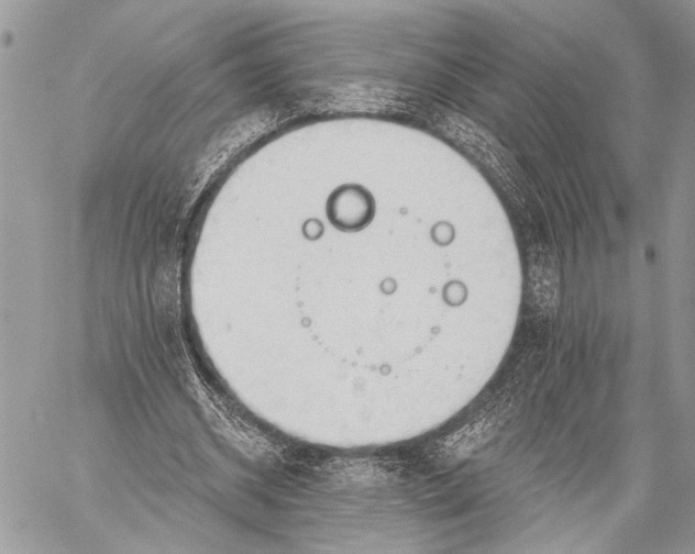 X0000059040534200510281544