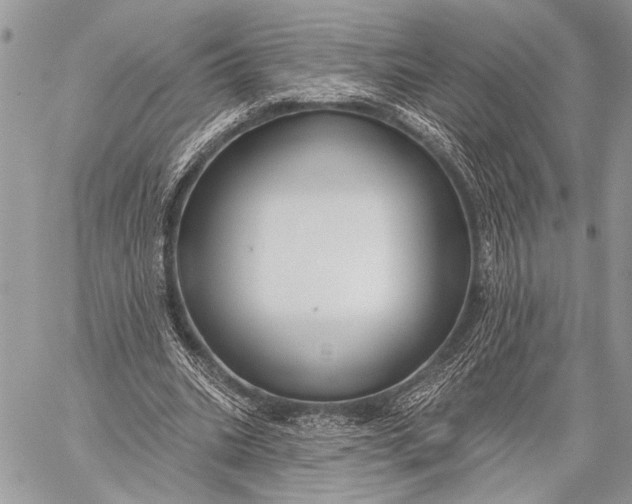 X0000059040535200510281544