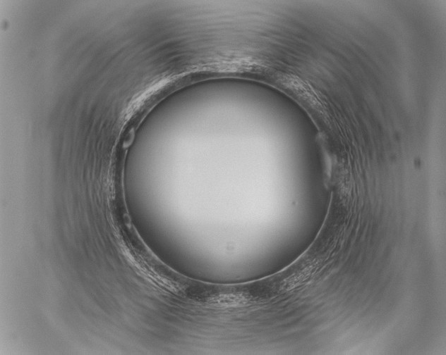 X0000059040536200510281544