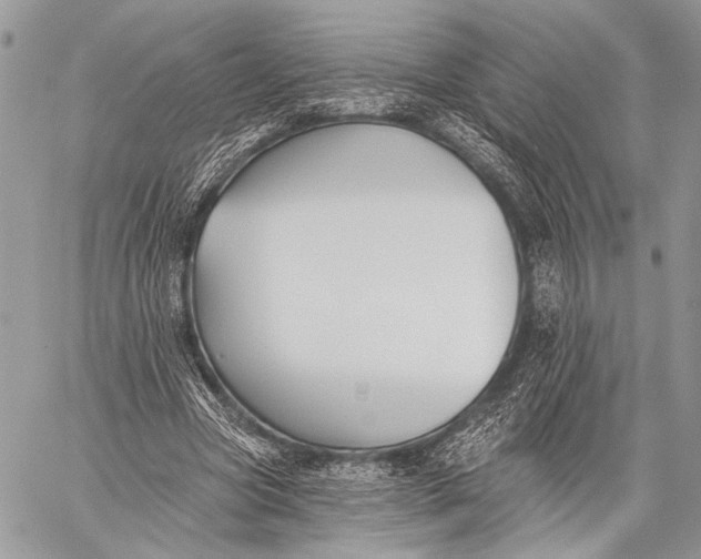 X0000059040537200510281544