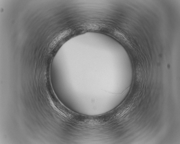 X0000059040538200510281544