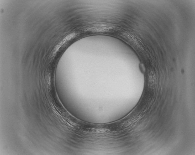 X0000059040539200510281544