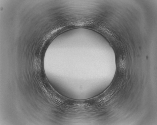 X0000059040540200510281544