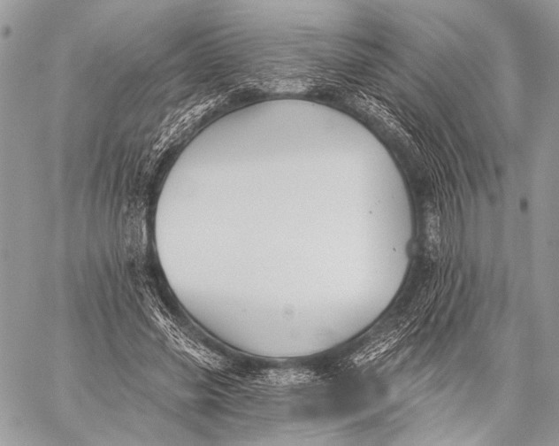 X0000059040541200510281544