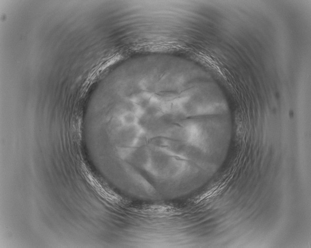 X0000059040542200510281545